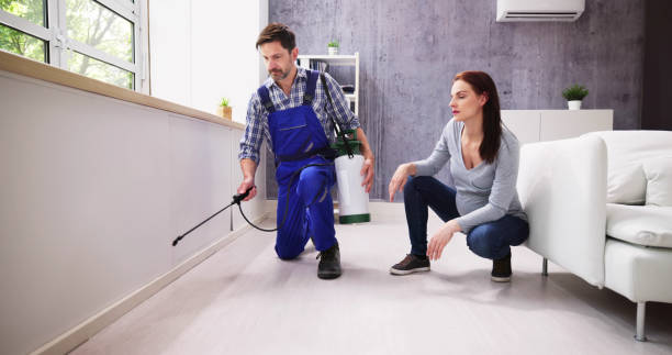 Best Emergency Pest Control  in Moorpark, CA